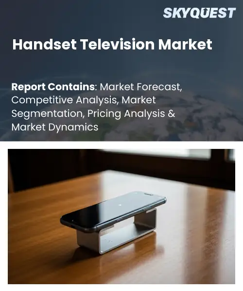 Handset Television Market