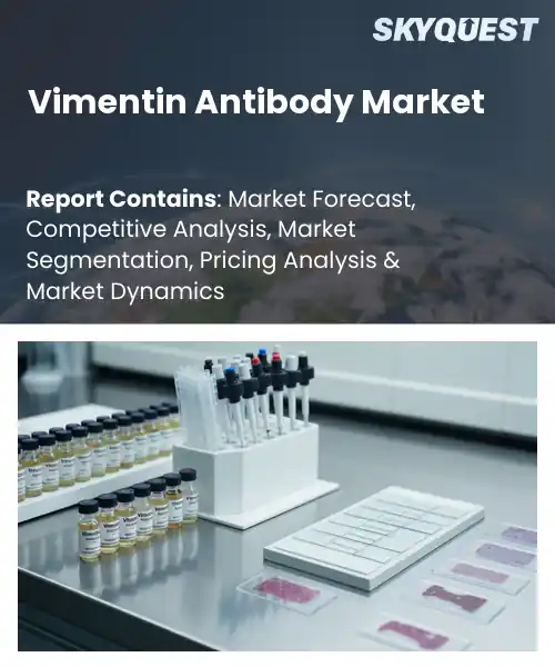 Vimentin Antibody Market