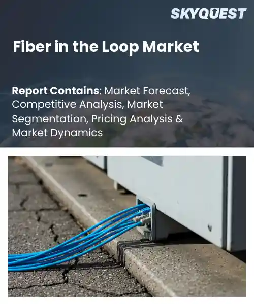 Fiber in the Loop Market