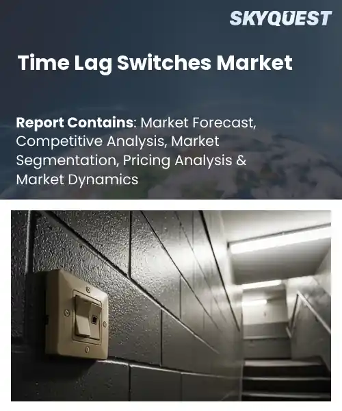 Time Lag Switches Market