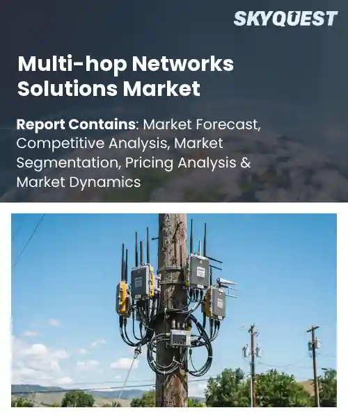 Multi-hop Networks Solutions Market