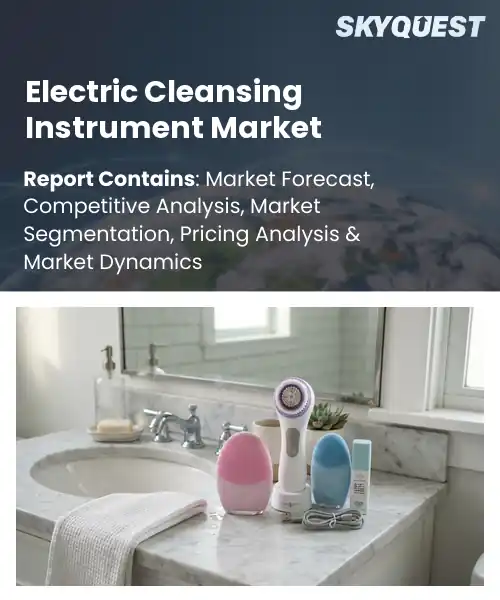 Electric Cleansing Instrument Market
