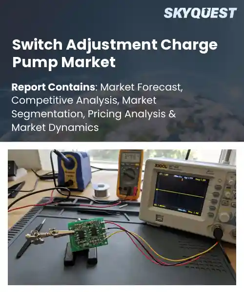 Switch Adjustment Charge Pump Market