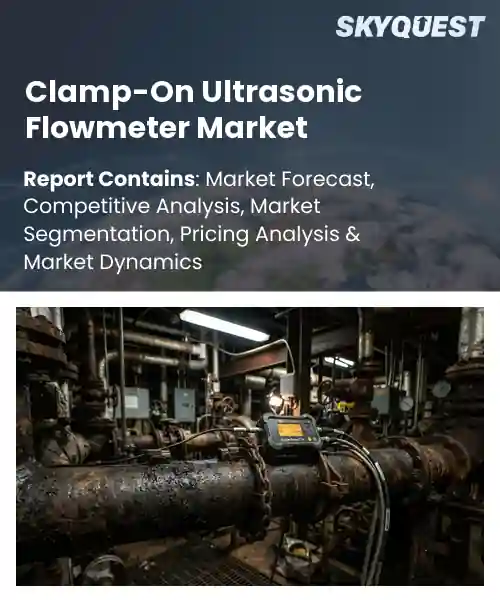 Clamp-On Ultrasonic Flowmeter Market
