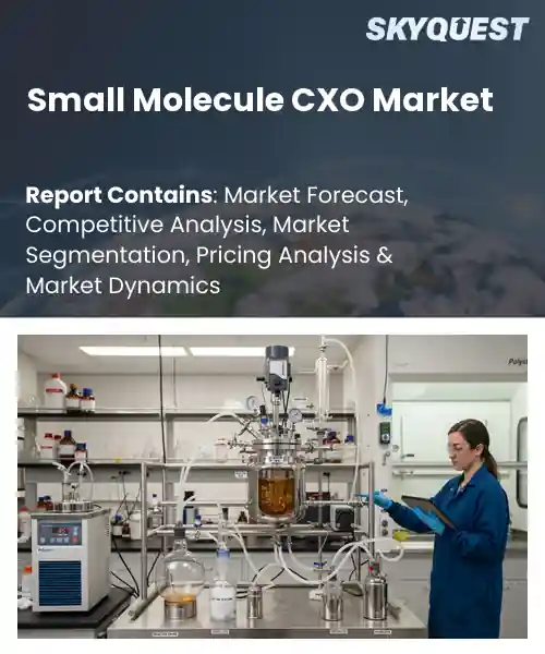 Small Molecule CXO Market