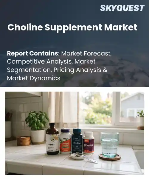 Choline Supplement Market