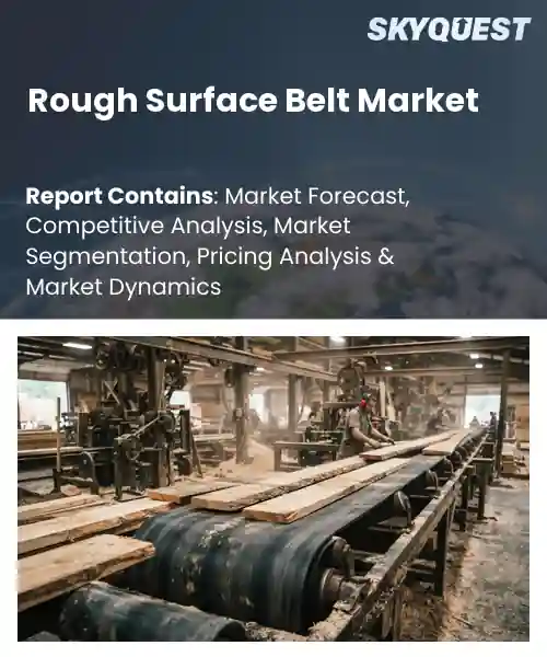 Rough Surface Belt Market