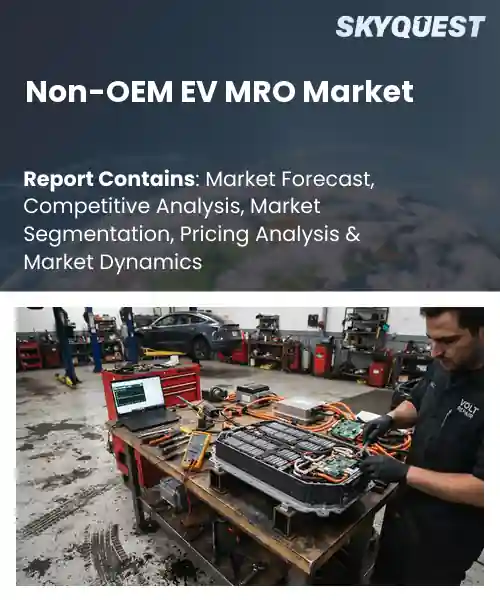 Non-OEM EV MRO Market