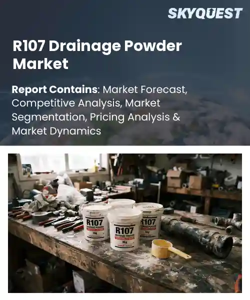 R107 Drainage Powder Market