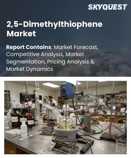 2,5-Dimethylthiophene Market