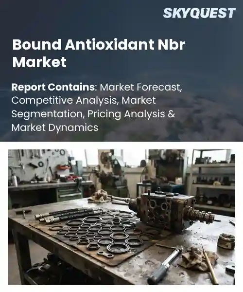 Bound Antioxidant Nbr Market