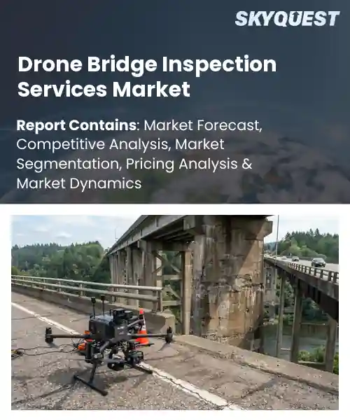 Drone Bridge Inspection Services Market