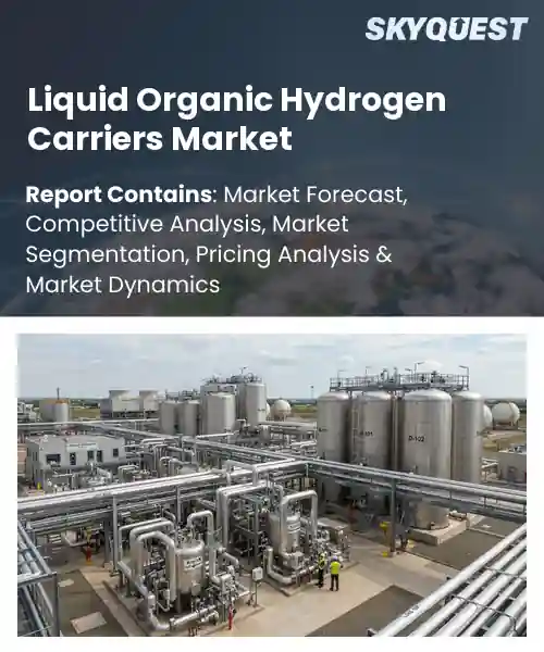 Liquid Organic Hydrogen Carriers Market