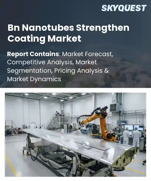 Bn Nanotubes Strengthen Coating Market