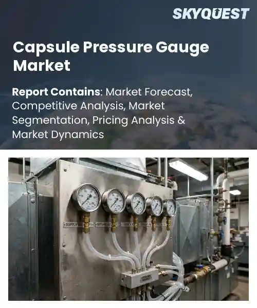Capsule Pressure Gauge Market