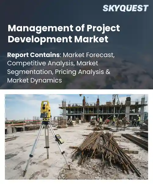 Management of Project Development Market