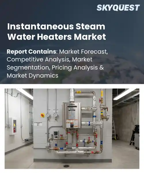 Instantaneous Steam Water Heaters Market