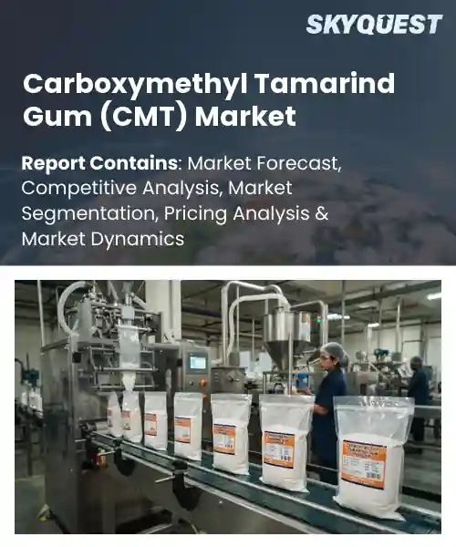 Carboxymethyl Tamarind Gum (CMT) Market
