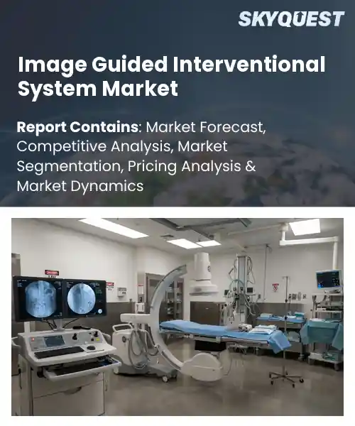 Image Guided Interventional System Market