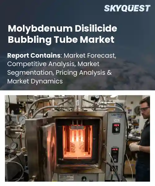 Molybdenum Disilicide Bubbling Tube Market