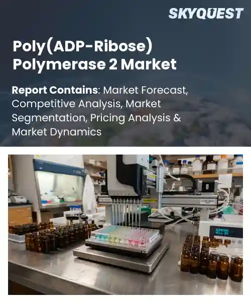 Poly(ADP-Ribose) Polymerase 2 Market