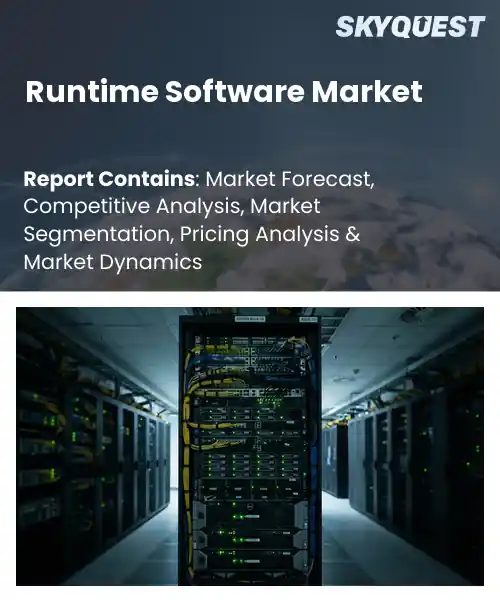 Runtime Software Market