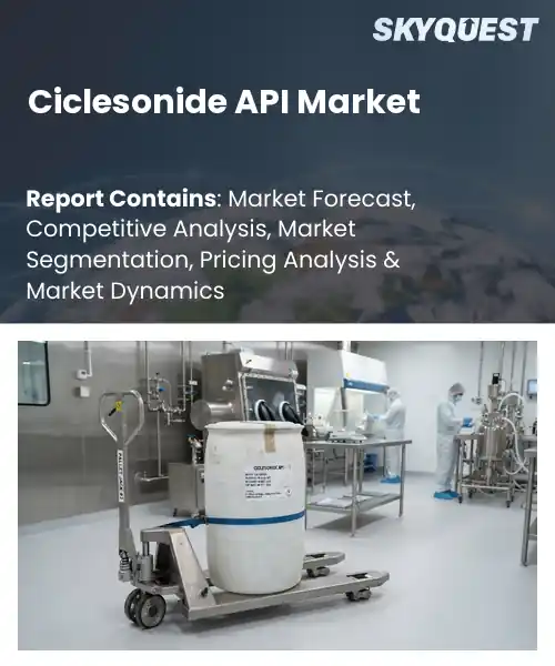 Ciclesonide API Market