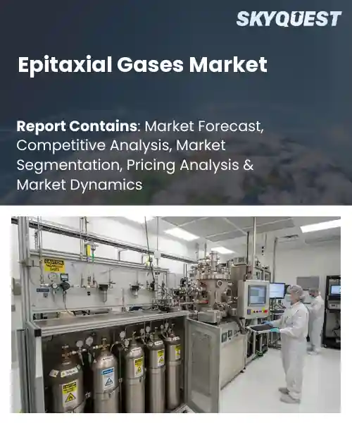 Epitaxial Gases Market