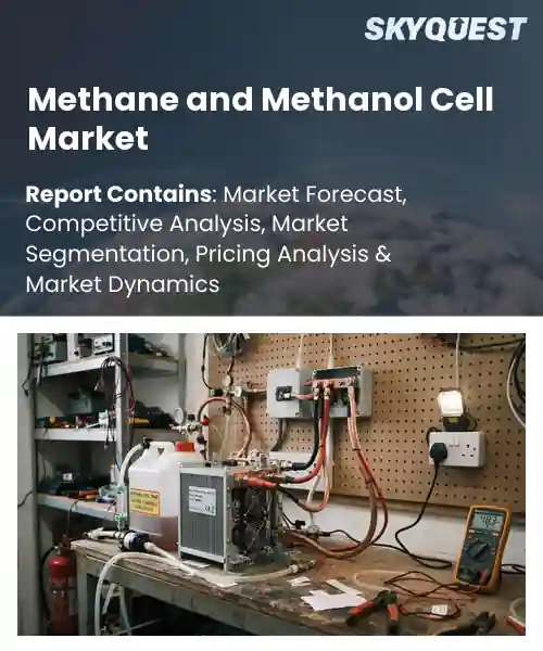 Methane and Methanol Cell Market