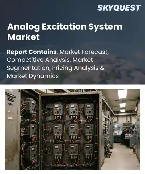 Analog Excitation System Market