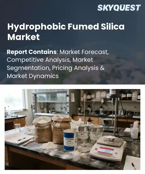 Hydrophobic Fumed Silica Market