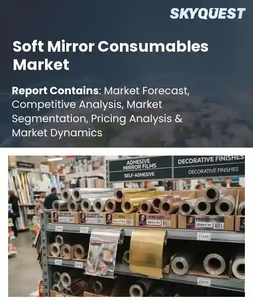Soft Mirror Consumables Market