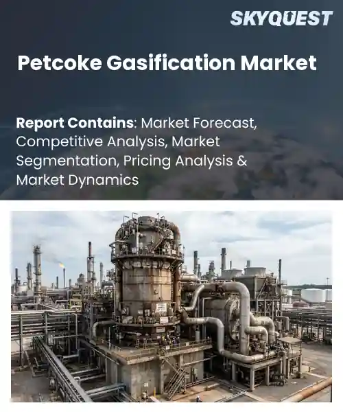 Petcoke Gasification Market