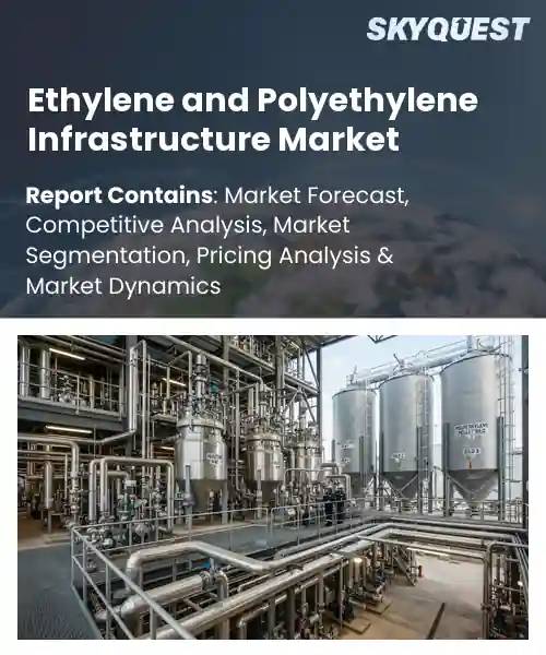 Ethylene and Polyethylene Infrastructure Market