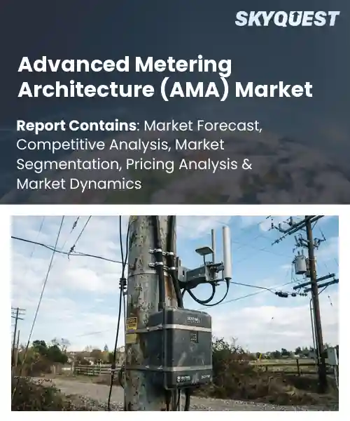 Advanced Metering Architecture (AMA) Market