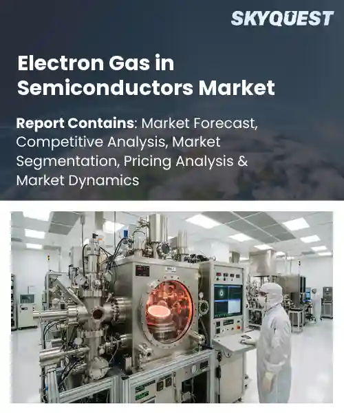 Electron Gas in Semiconductors Market