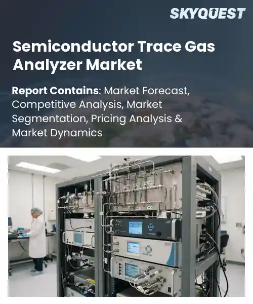 Semiconductor Trace Gas Analyzer Market