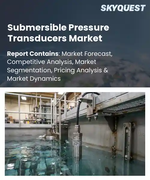 Submersible Pressure Transducers Market