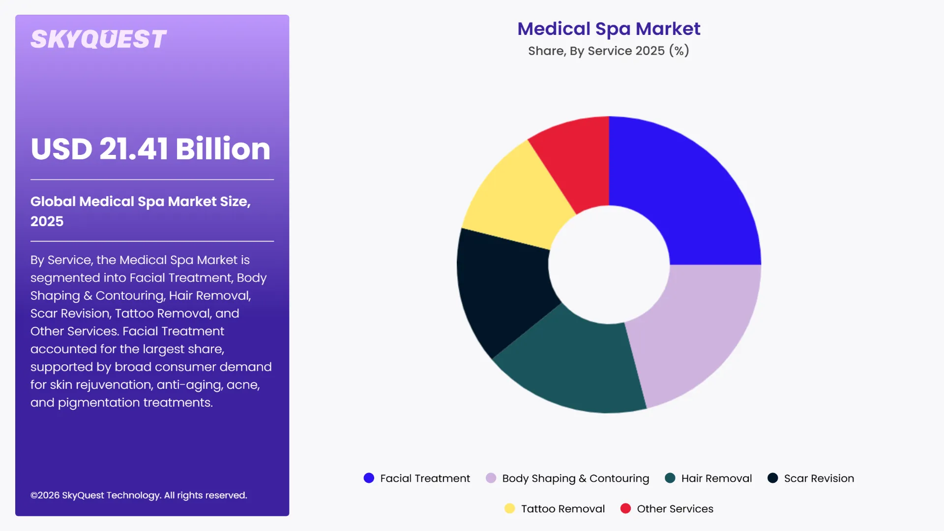 Medical Spa Market Segments Analysis