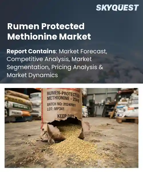 Rumen Protected Methionine Market