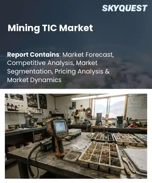 Mining TIC Market