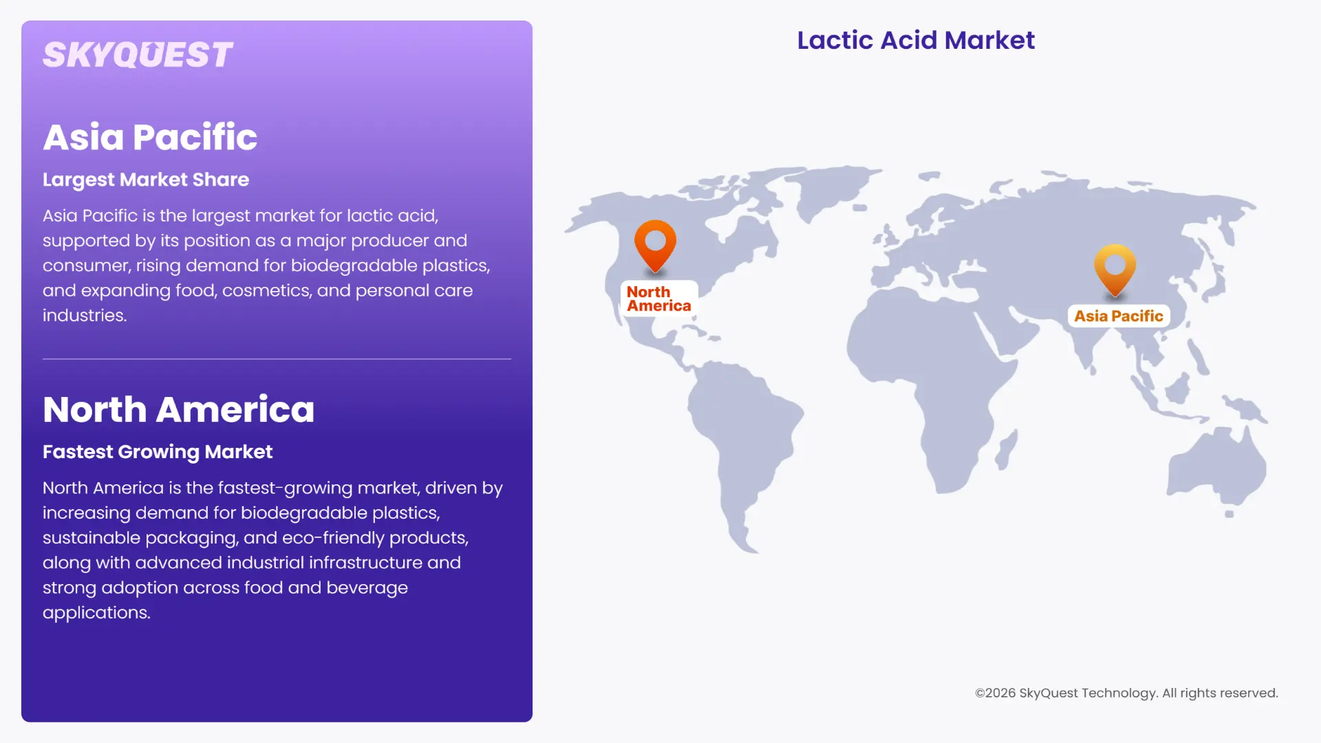 Lactic Acid Market Regional Analysis