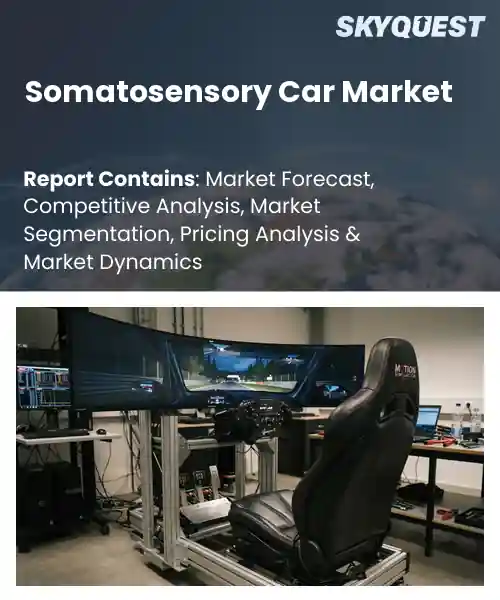 Somatosensory Car Market