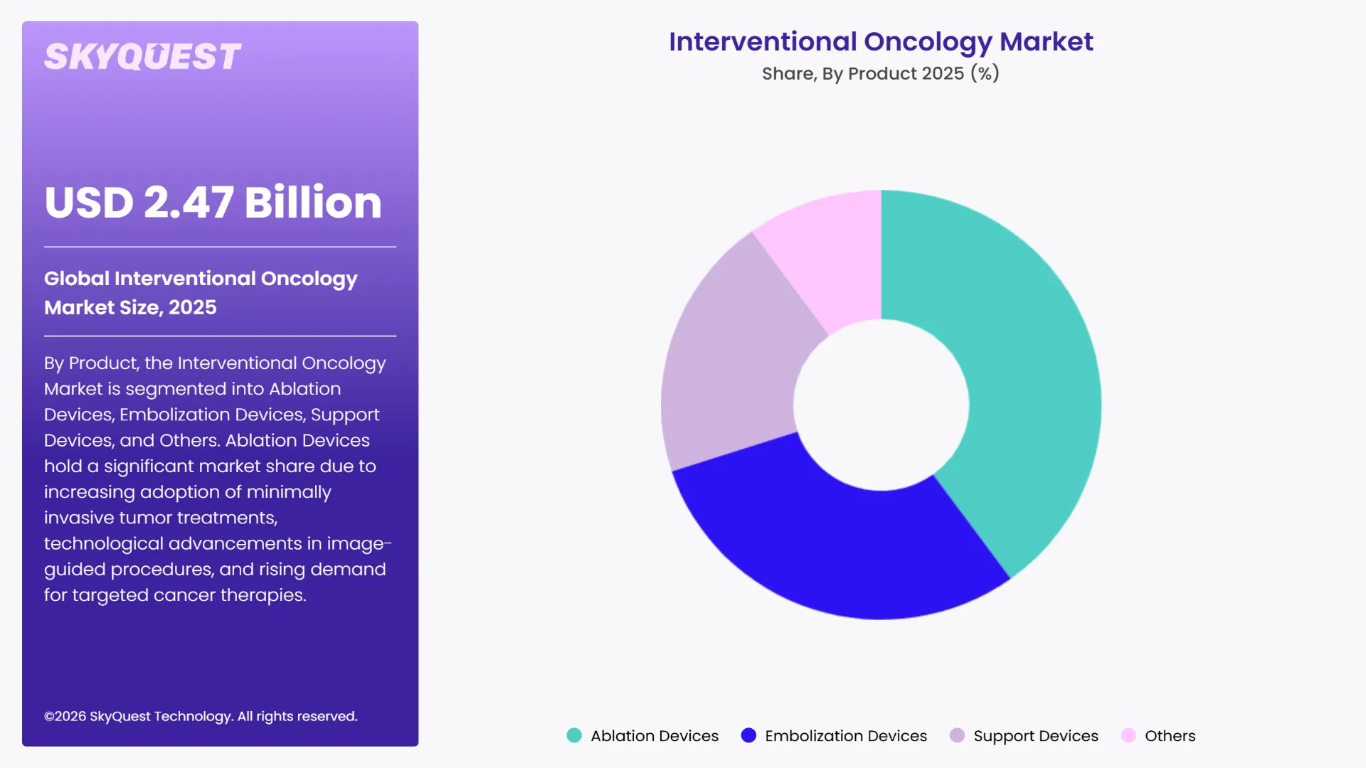Interventional Oncology Market Segments Analysis