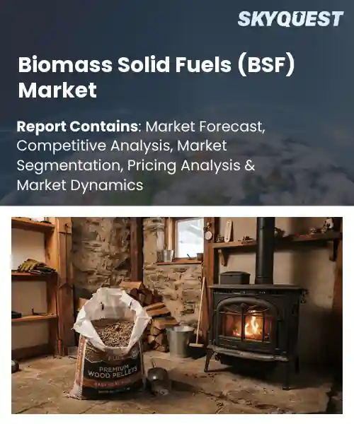 Biomass Solid Fuels (BSF) Market