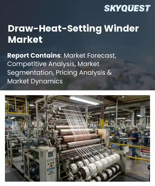 Draw-Heat-Setting Winder Market