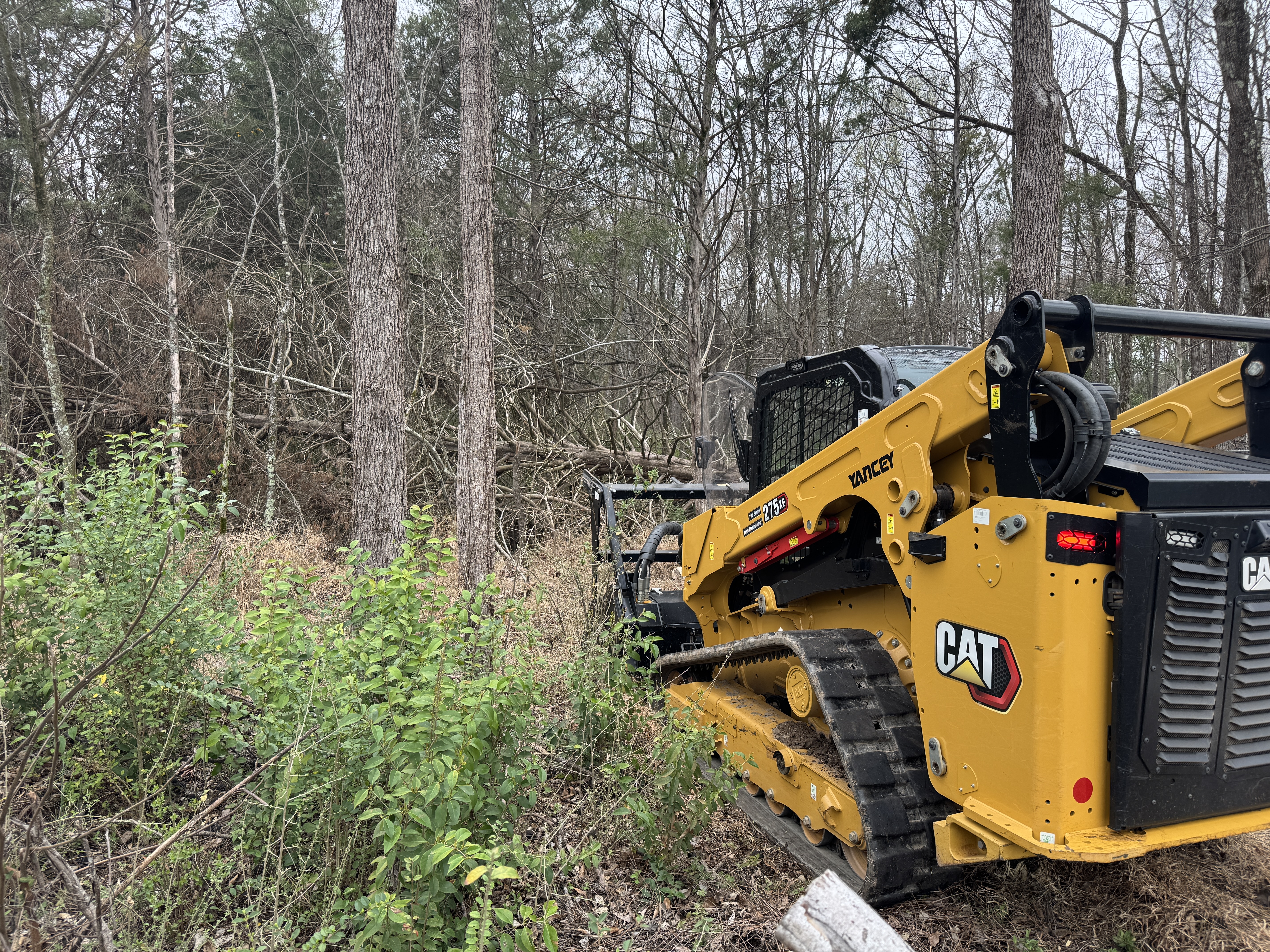 Brush hogging service cutting thick field growth