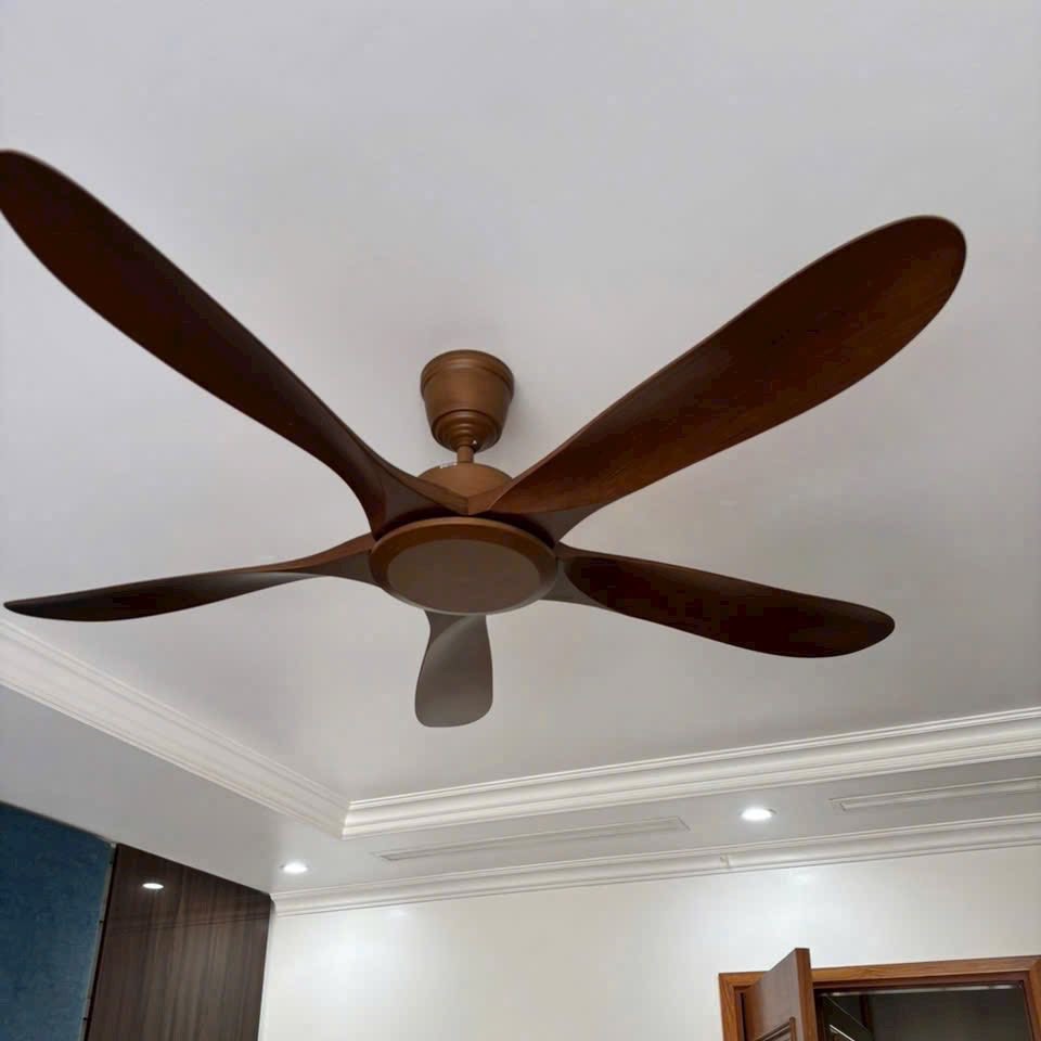 Hình ảnh sản phẩm 4