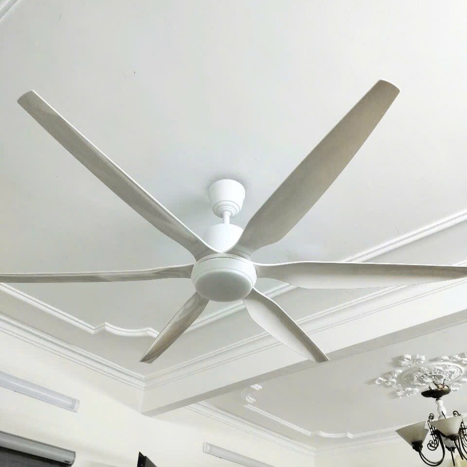 Hình ảnh sản phẩm 6