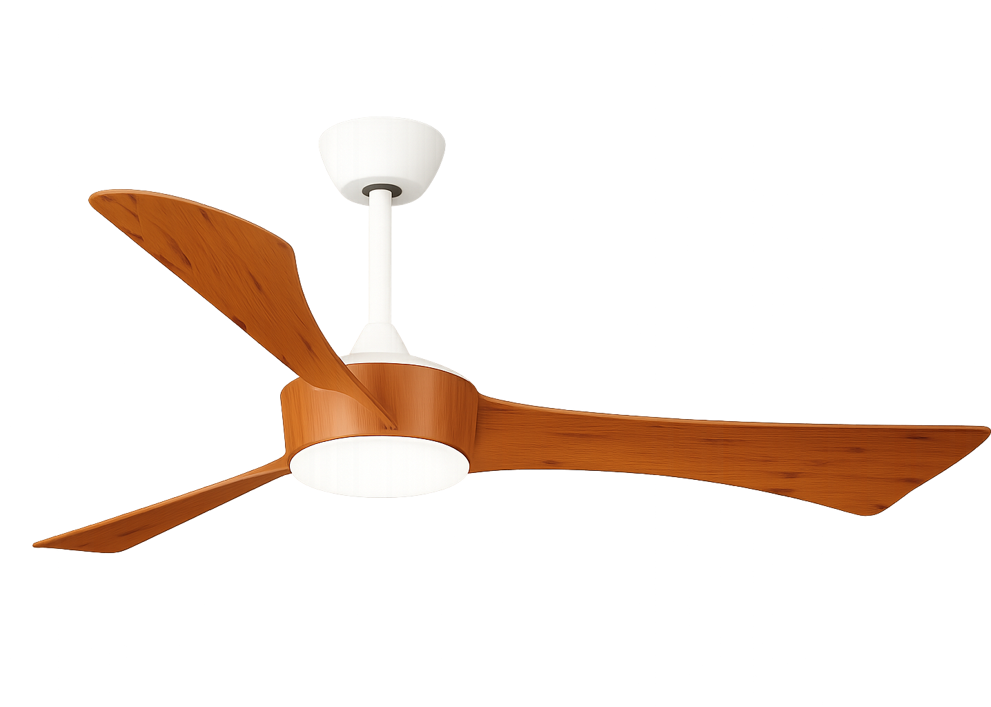 Hình ảnh sản phẩm 1